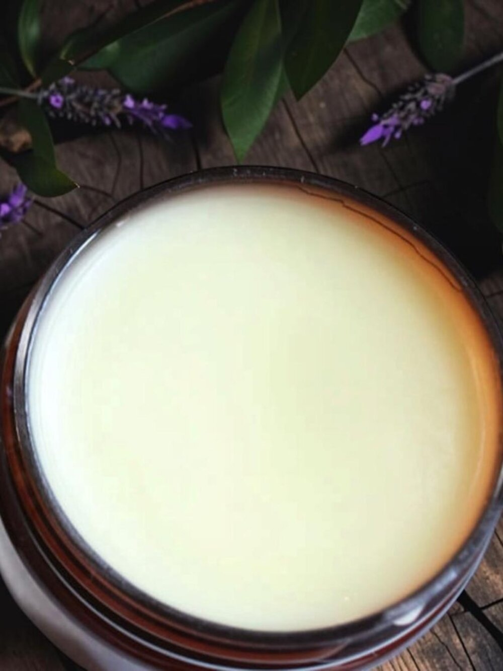 Organic Lip Balms - Coconut